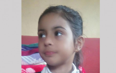 विदीशा पाण्डे
